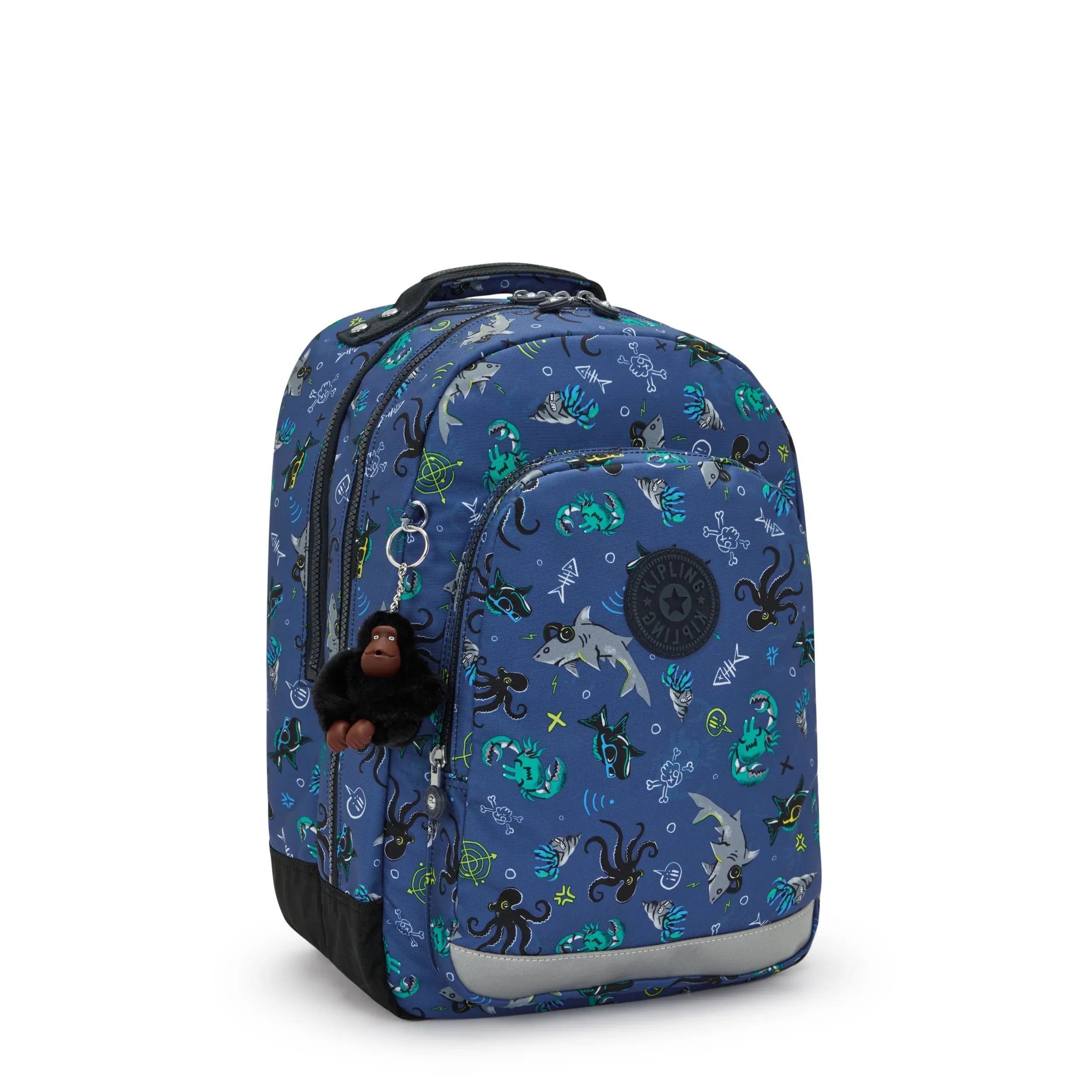 CLASS ROOM - Image 4