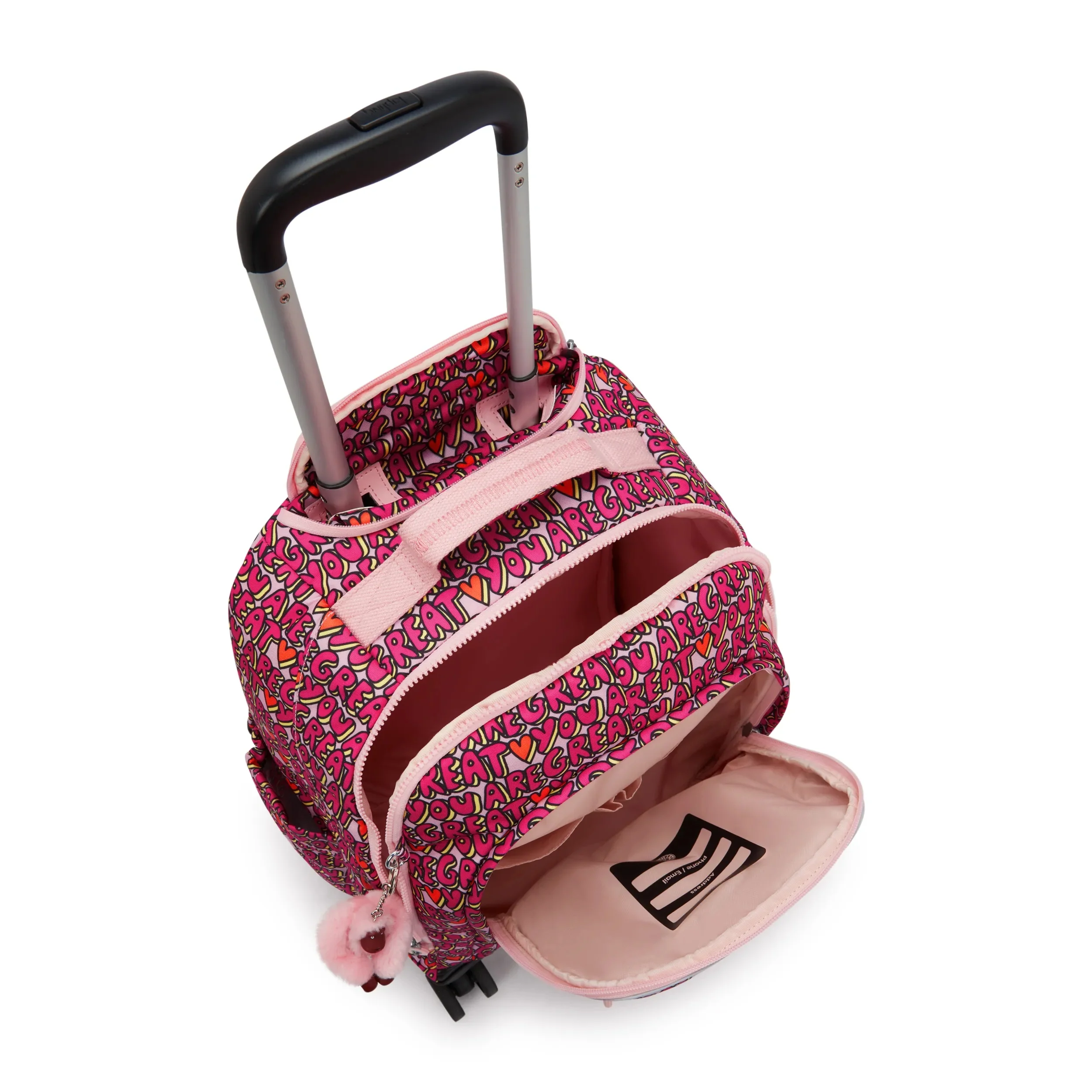 NEW ZEA - Image 4