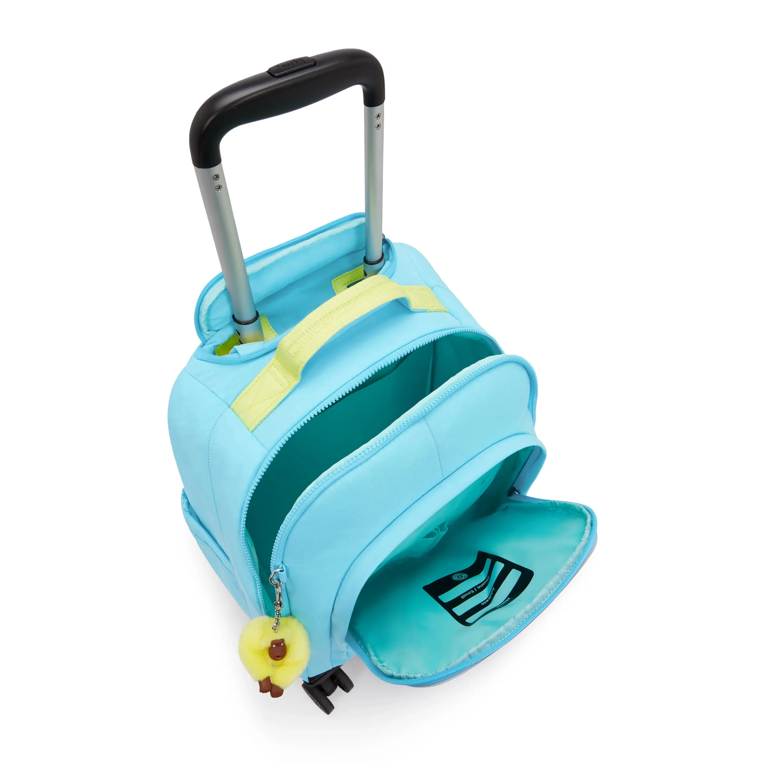 NEW ZEA - Image 4