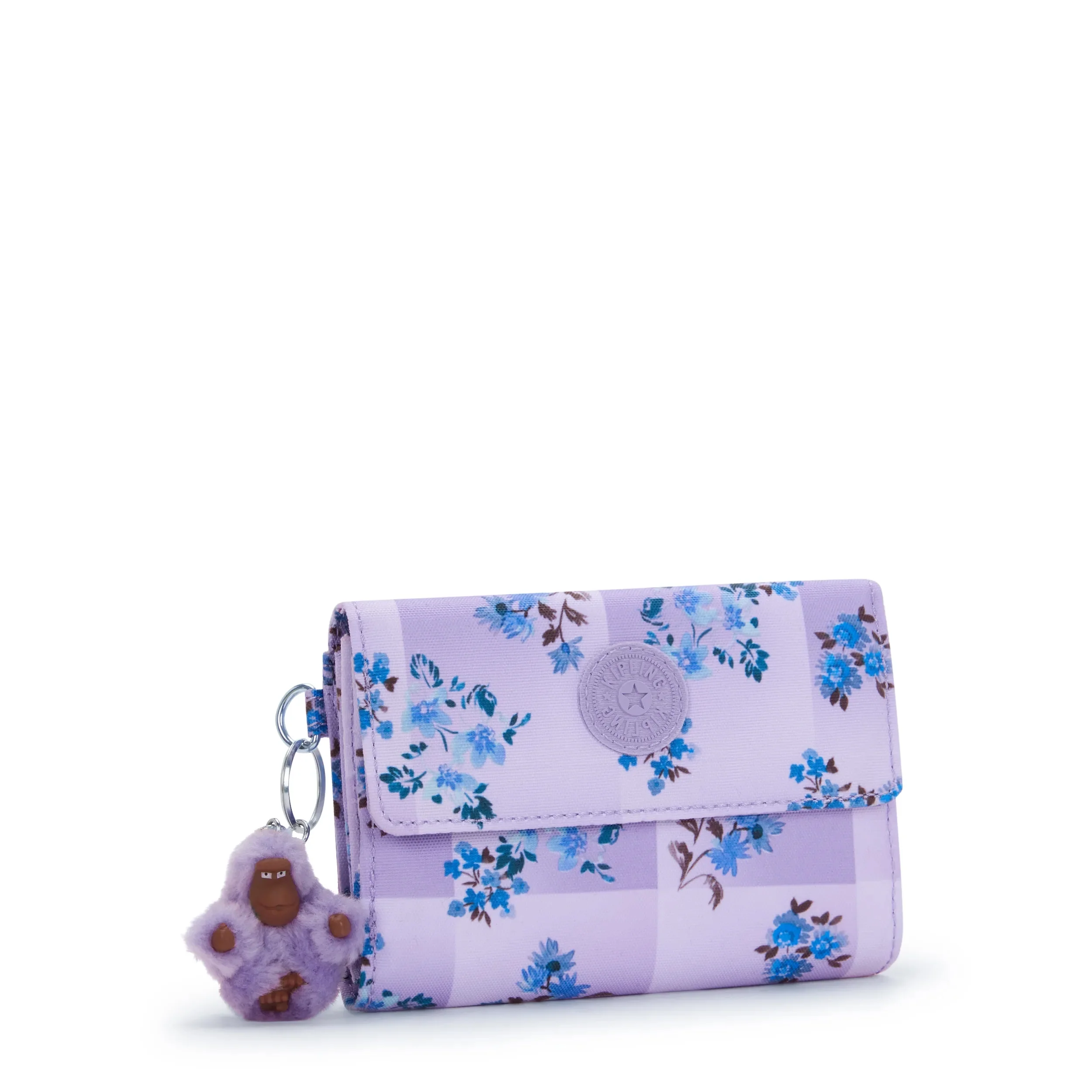 PIXI - Image 4